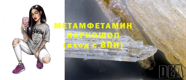 индика Абаза