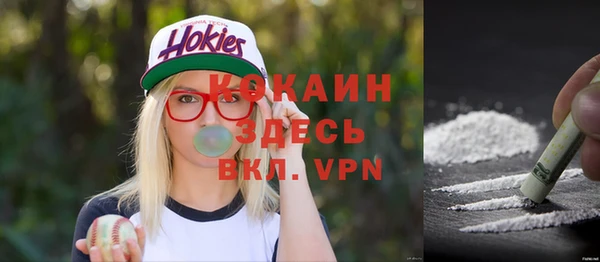 индика Абаза